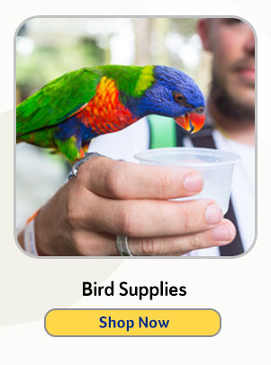 Shop Bird Supplies