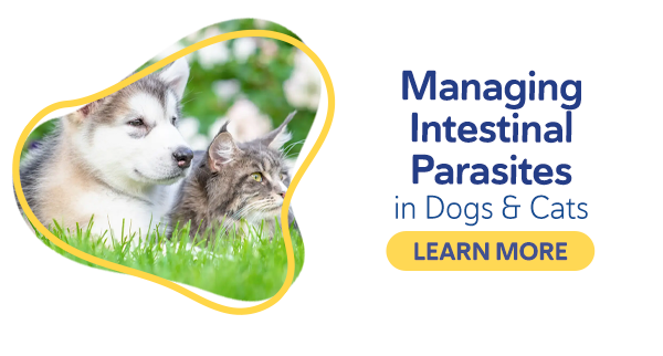 Managing Intestinal Parasites in Dogs & Cats