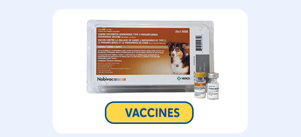 Vaccines