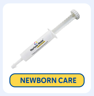 Newborn Care