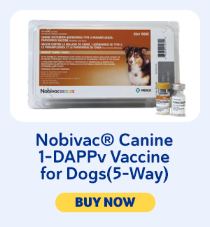 Nobivac Canine DAPPv 5-way vaccine for dogs