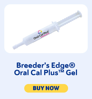 Breeder's Edge Oral Cal Plus Gel