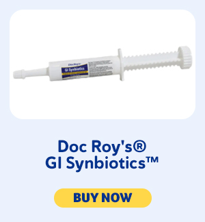 Doc Roy's GI Synbiotics for Gut Health 
