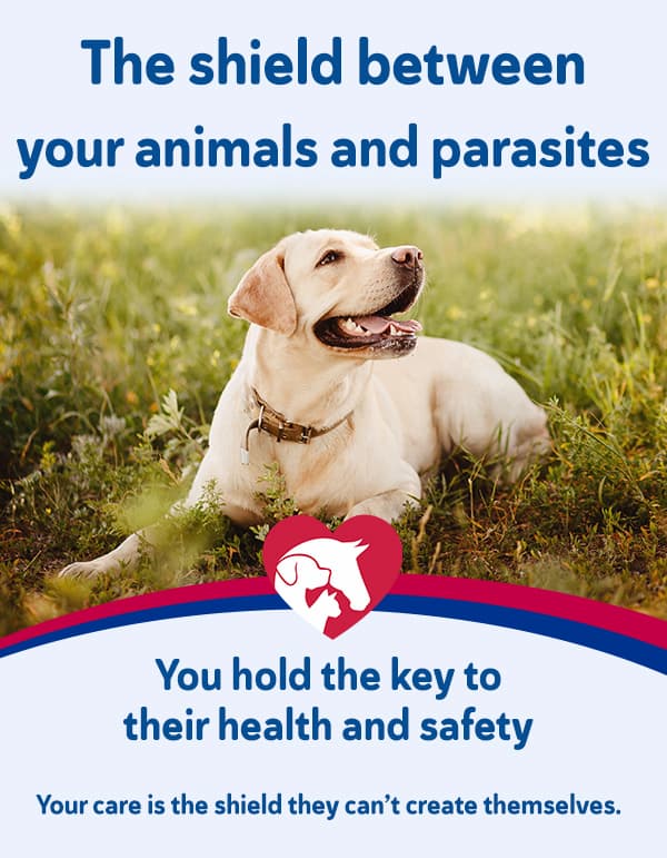 Shield your pet from worms and parasites