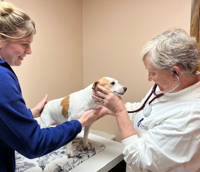 Canine Respiratory Webinar