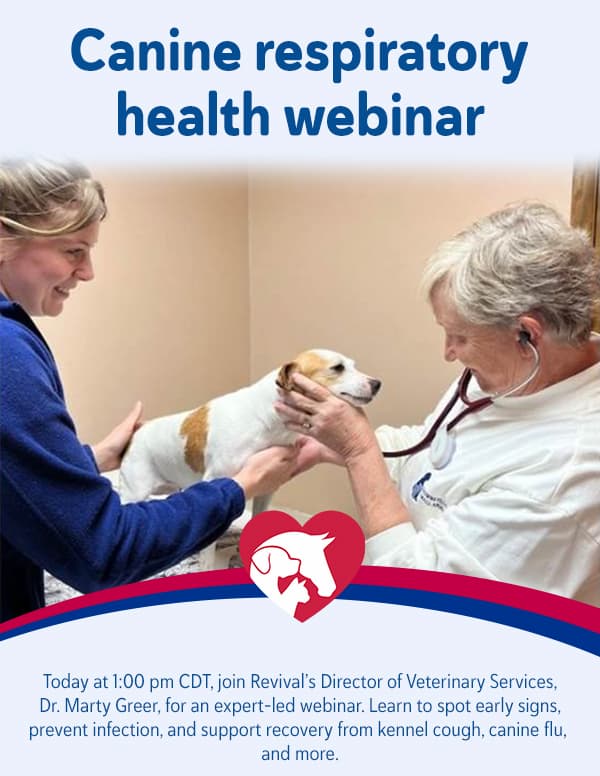 Canine Respiratory Webinar