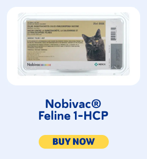 Nobivac Feline 1-HCP