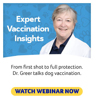 Canine Vaccine Webinar