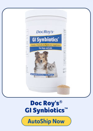Doc Roy's GI Synbiotics