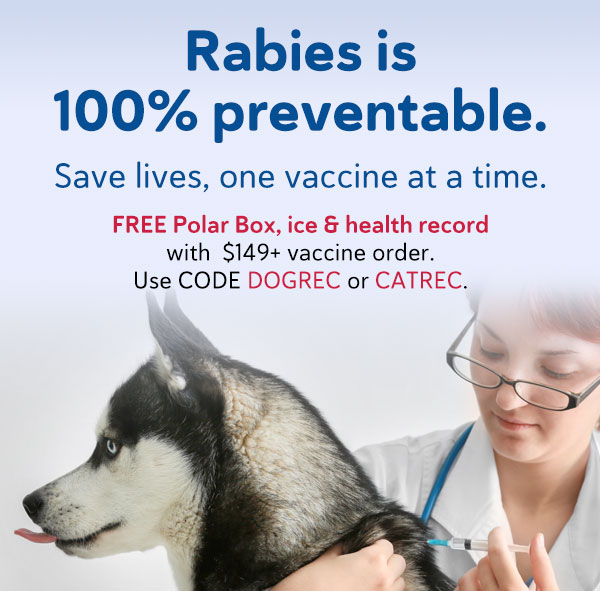 World Rabies Day