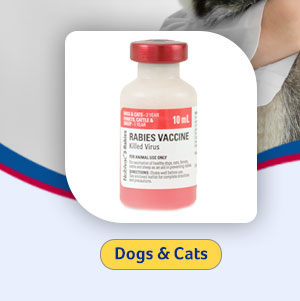 Dog & Cat Rabies Vaccines