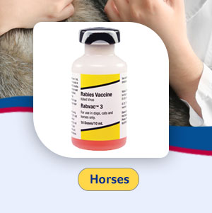 Horse Rabies Vaccine