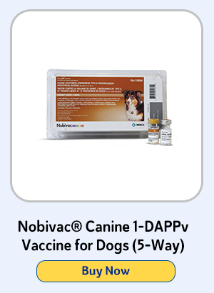 Nobivac Canine 1-DAPPv Vaccine for Dogs (5-Way)