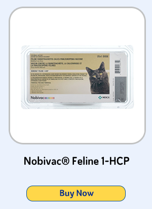 Nobivac Feline 1-HCP