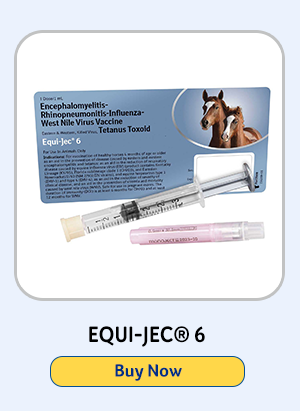 Equi-Jec 6