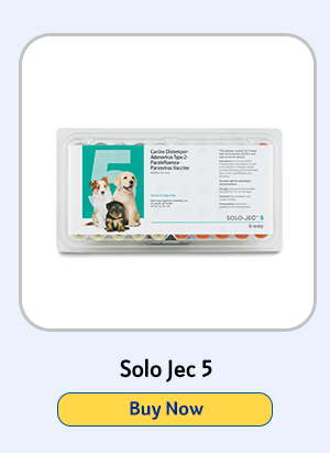Solo Jec 5