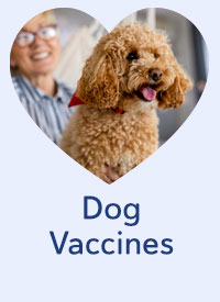 Shop Dog Vaccines