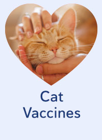 Shop Cat Vaccines
