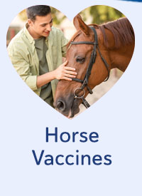 Shop Horse Vaccines