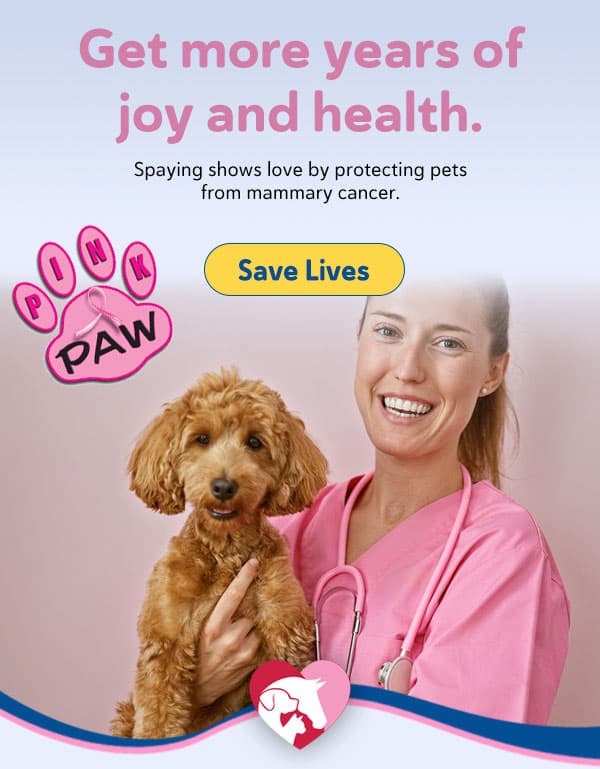 Get more years of joy and health