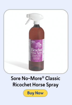 Sore No-More Classic Ricochet Horse Spray