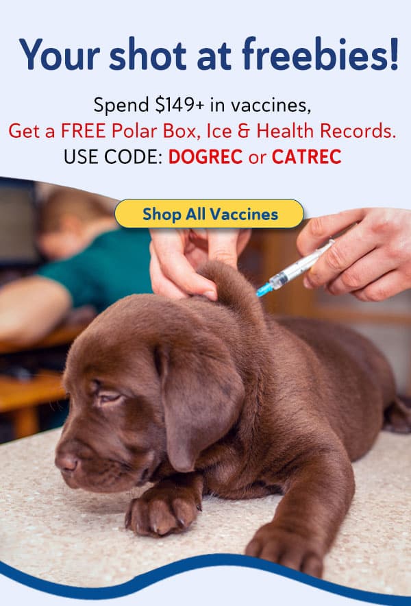 Free Polar Box, Ice & Health Records