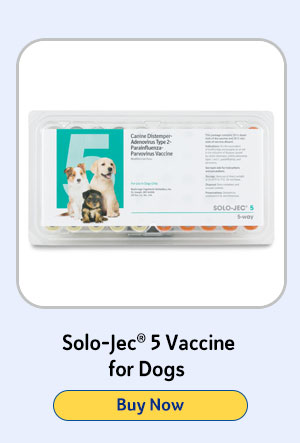 Solo Jec 5 Vaccine for Dogs