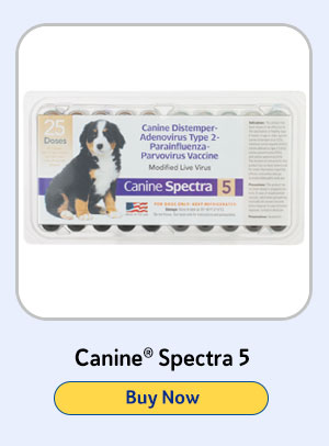 Canine Spectra 5