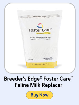 Breeder's Edge Foster Care Feline Milk Replacer