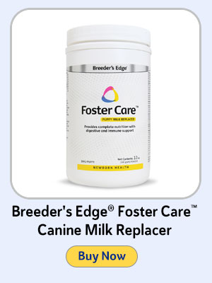 Breeder's Edge Foster Care Canine Milk Replacer