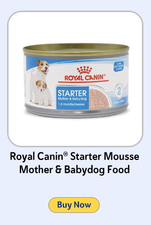 Royal Canin® Starter Mousse Mother & Babydog Food