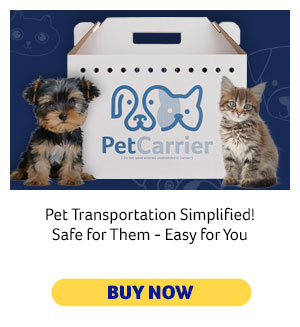Cardboard Pet Carrier