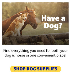 Have a dog
