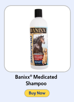 Banixx® Medicated Shampoo