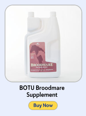 BOTU Broodmare Supplement