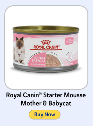 Royal Canin Starter Mousse Mother & Babycat