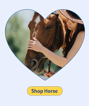 Shop Horse Supplies
