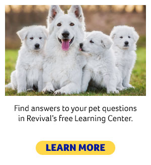 Revival’s free Learning Center