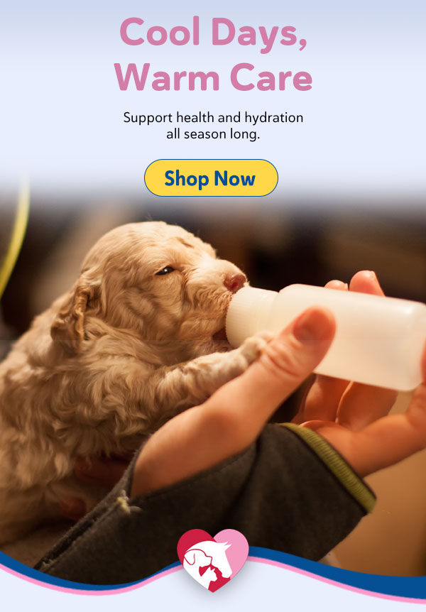 Milk Replacers for Nursing Puppies and Kittens