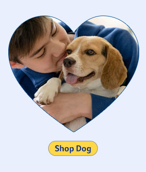 Shop Dog Supplies