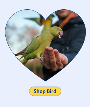 Shop Bird Supplies