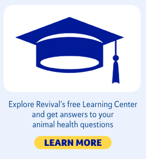 Revival’s free Learning Center