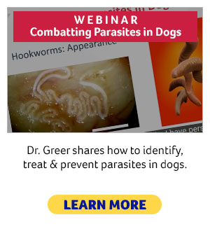 Intestinal Parasite Webinar