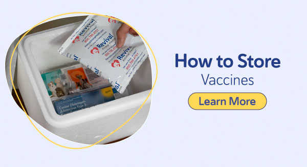 Vaccine Storage: How to Store Vaccines