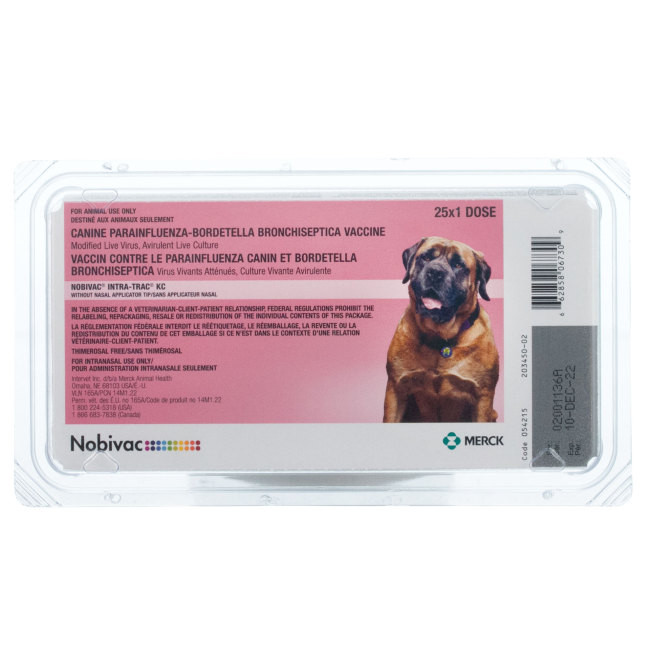 Trazodone Tablets