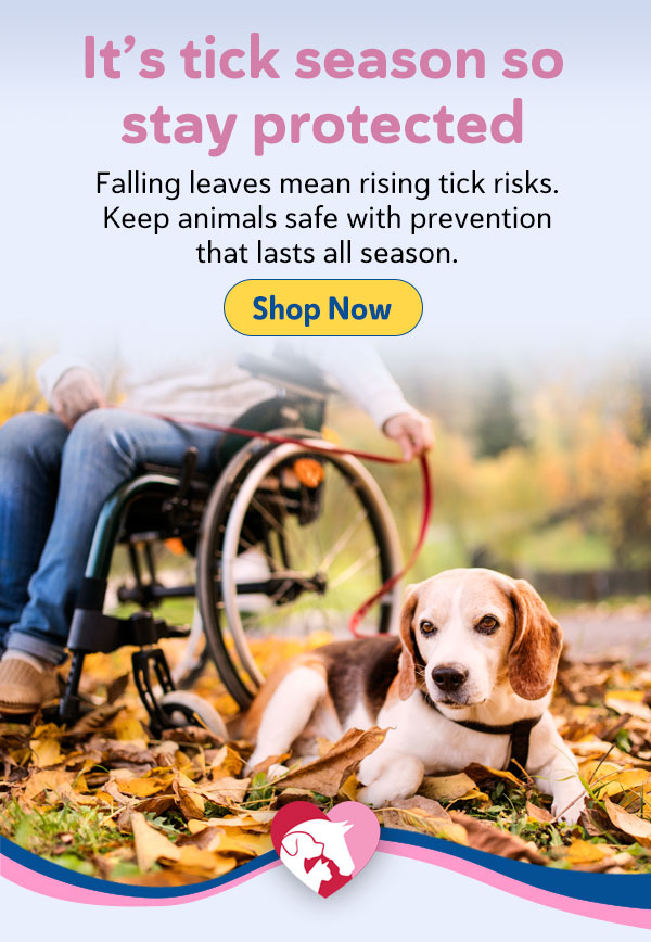 Shop Flea & Tick