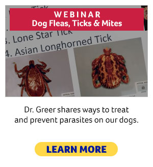 External Parasite Webinar