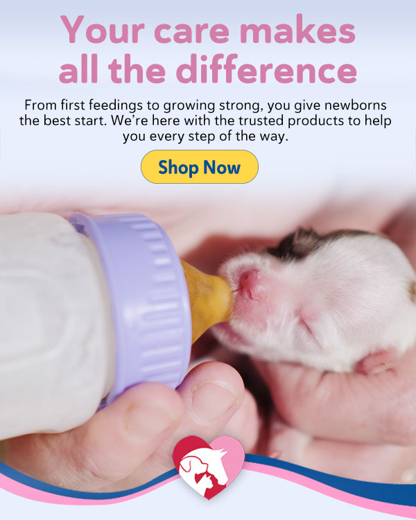 Shop Newborn Care