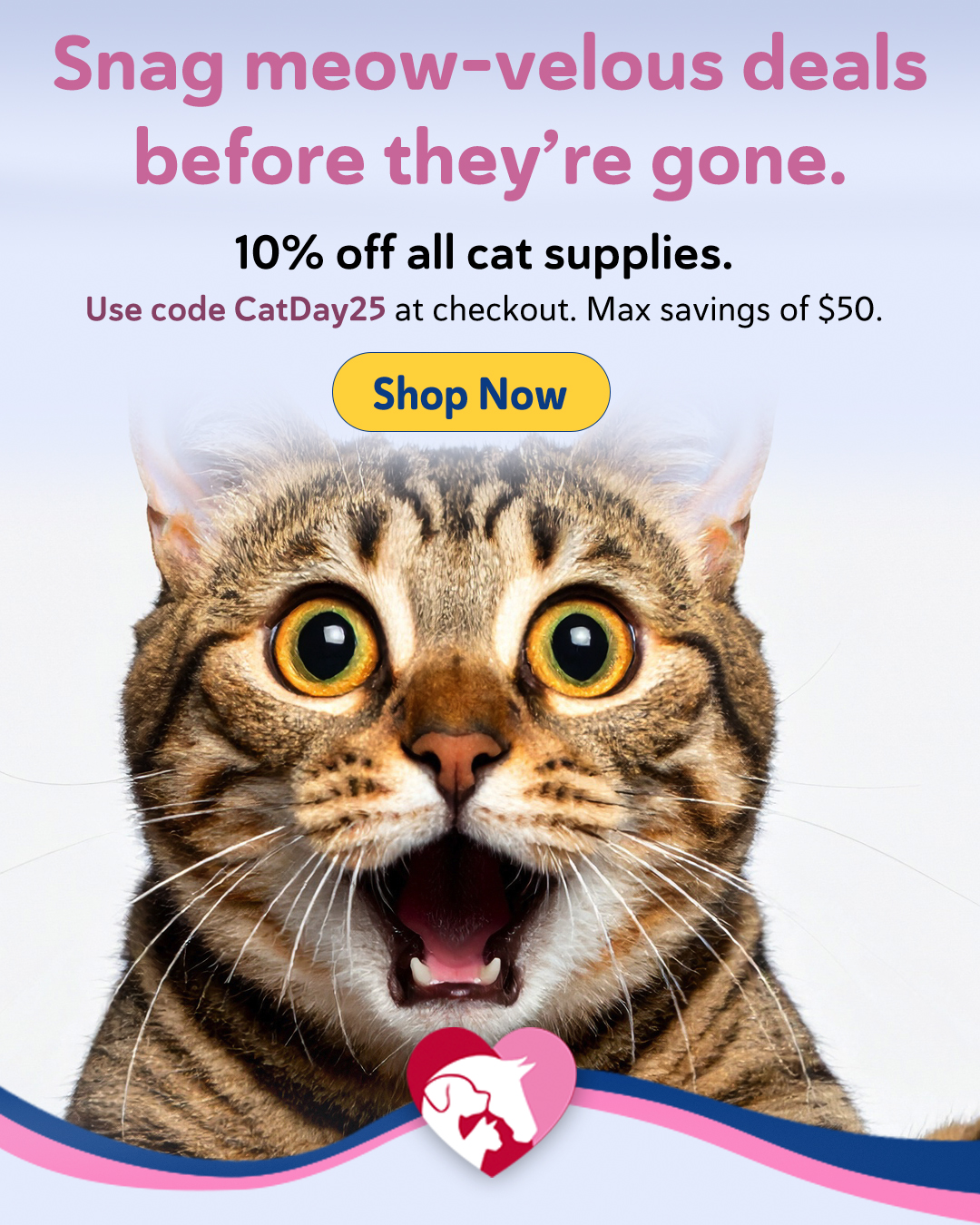 Shop All Cat