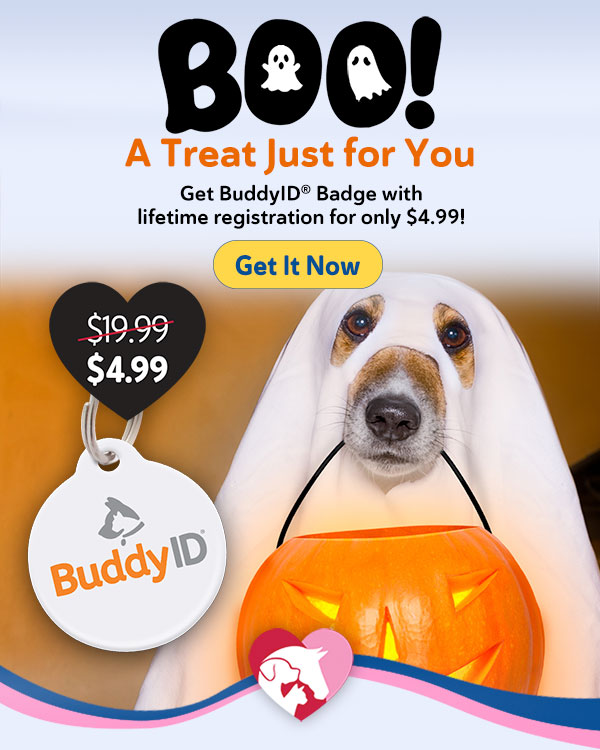 BuddyID BuddyBadge